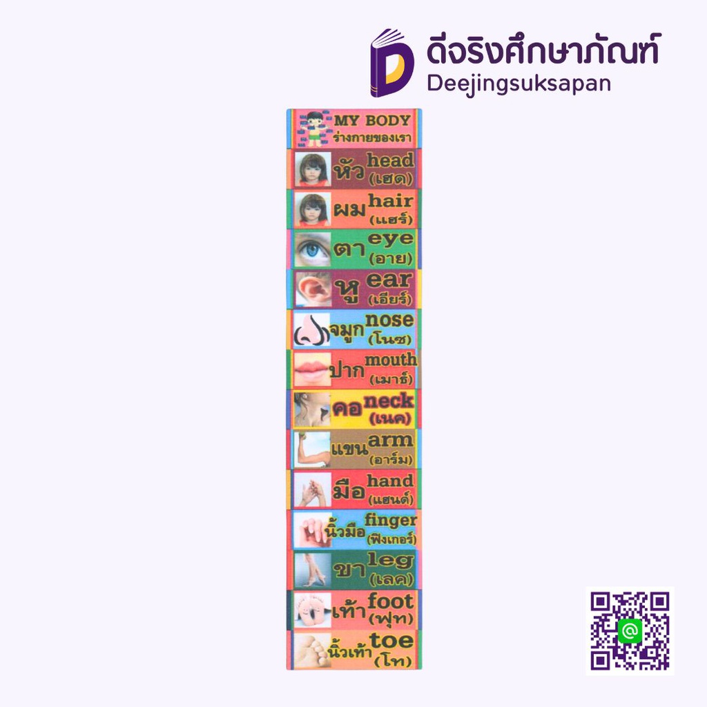 สื่อการสอน ร่างกายของเรา 10x29 ซม. I PLAY