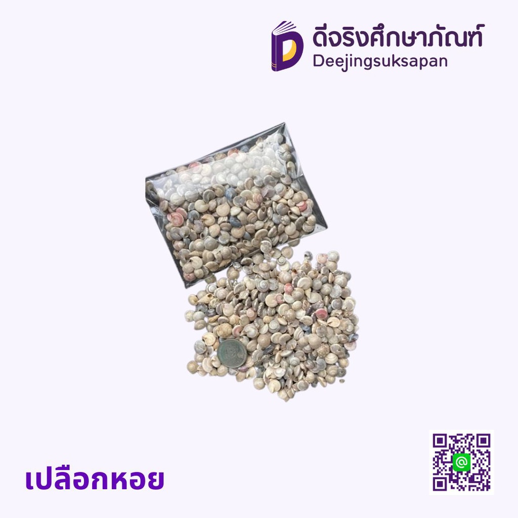 เปลือกหอย 50 กรัม