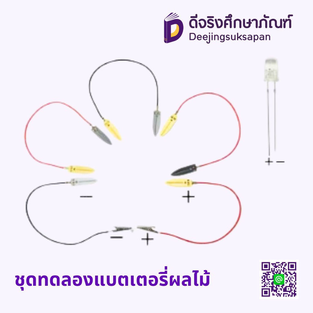 ชุดทดลองแบตเตอรี่ผลไม้