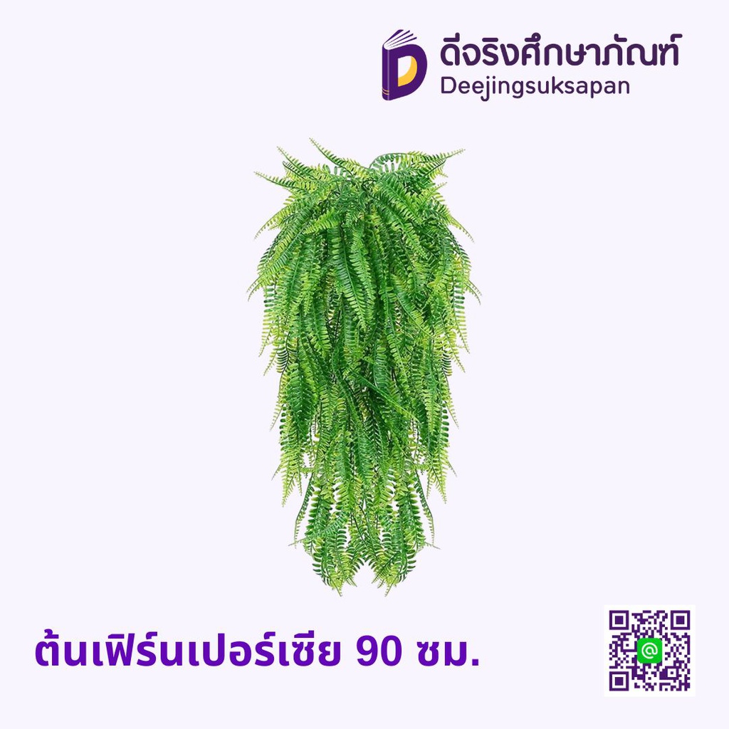 ต้นเฟิร์นเปอร์เซีย 90 ซม.