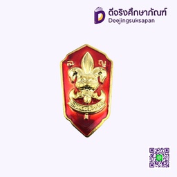 เหรียญเรซิ่น รองผบ. สีแดง วิสามัญ ลญ.