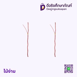 ไม้ง่าม