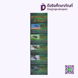 [P085] สื่อการสอน พาหะนำโรค 20x29 ซม. I PLAY