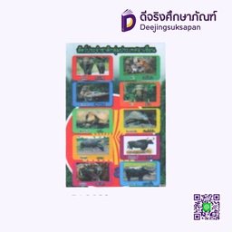 [AS0117] สื่อการสอนฟิวเจอร์บอร์ด สัตว์ประจำกลุ่มประเทศอาเซียน I PLAY