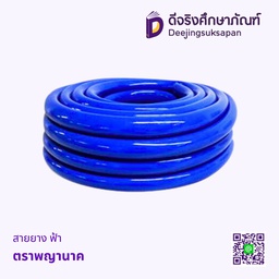 สายยาง ฟ้า พญานาค