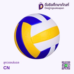ลูกวอลเลย์บอล DJ